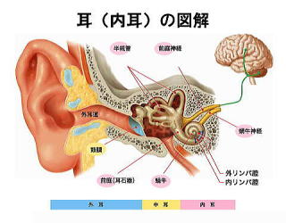 めまい｜メニエル｜福岡市｜早良区｜鍼灸院｜